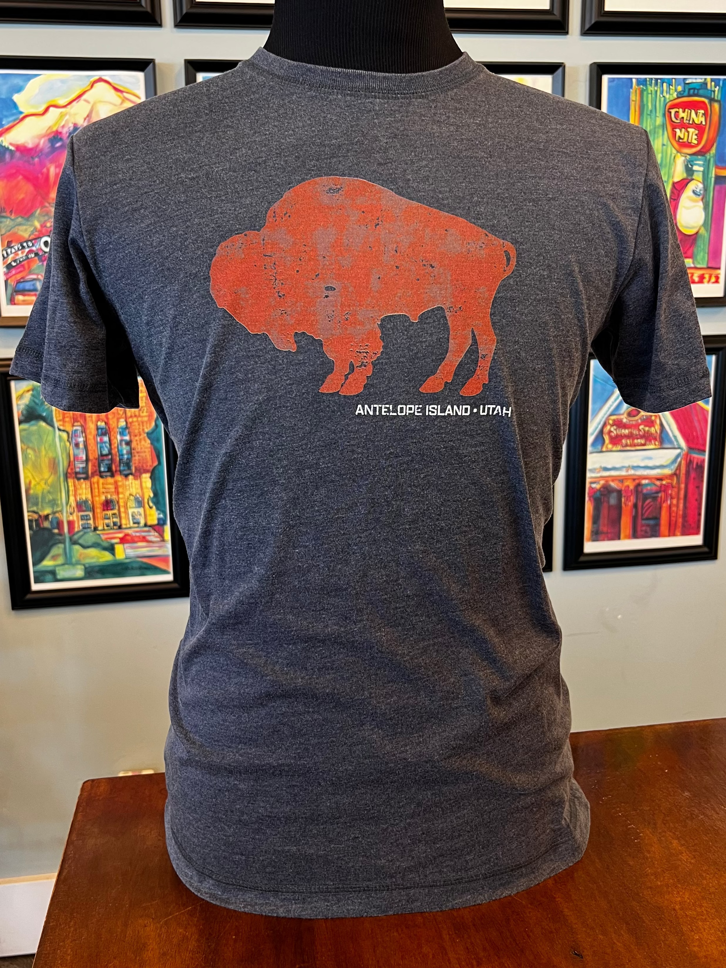 ANTELOPE ISLAND "BISON" TEE